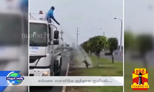 வாய்க்கால் தண்ணீரில் ஆட்டம் போட்ட நாய்... சம்மரை சமாளிக்க குத்தால குளியல்...