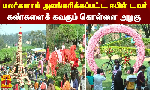மலர்களால் அலங்கரிக்கப்பட்ட ஈபிள் டவர் - கண்களைக் கவரும் கொள்ளை அழகு
