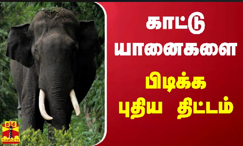 காட்டு யானைகளை பிடிக்க புதிய திட்டம்