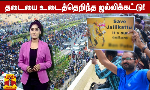 தடையை உடைத்தெறிந்த ஜல்லிக்கட்டு!