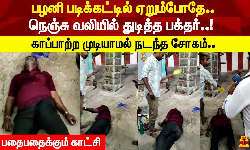 பழனி படிக்கட்டில் ஏறும்போதே.. நெஞ்சு வலியில் துடித்த பக்தர்..! காப்பாற்ற முடியாமல் நடந்த சோகம்.. பதைபதைக்கும் காட்சி