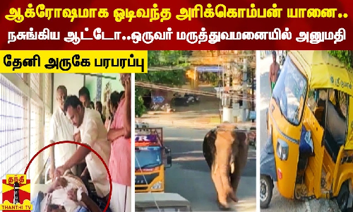 ஆக்ரோஷமாக ஓடிவந்த அரிக்கொம்பன்..நசுங்கிய ஆட்டோ..ஒருவர் மருத்துவமனையில் அனுமதி - தேனி அருகே பரபரப்பு