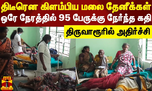 திடீரென கிளம்பிய மலை தேனீக்கள்.. ஒரே நேரத்தில் 95 பேருக்கு நேர்ந்த கதி - திருவாரூரில் அதிர்ச்சி