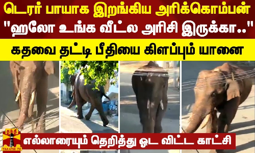 டெரர் பாயாக இறங்கிய அரிக்கொம்பன்..கதவை தட்டி பீதியை கிளப்பும் யானை டெரர் பாயாக இறங்கிய அரிக்கொம்பன்..கதவை தட்டி பீதியை கிளப்பும் யானை