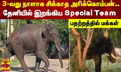 3-வது நாளாக சிக்காத அரிக்கொம்பன்.. தேனியில் இறங்கிய Special Team - பதற்றத்தில் மக்கள்