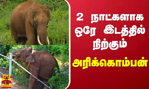 2 நாட்களாக ஒரே இடத்தில் நிற்கும் அரிக்கொம்பன் யானை