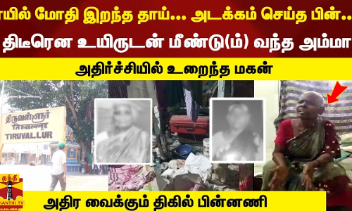 ரயில் மோதி இறந்த தாய்... அடக்கம் செய்த பின்...திடீரென உயிருடன் வந்ததால் - அதிர்ச்சியில் உறைந்த மகன்