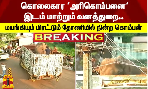 #BREAKING | கொலைகார அரிகொம்பனை இடம் மாற்றும் வனத்துறை.. - மயங்கியும் மிரட்டும் தோணியில் நின்ற கொம்பன்