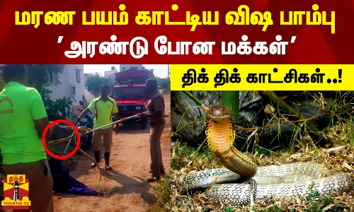 மரண பயம் காட்டிய விஷ பாம்பு அரண்டு போன மக்கள் திக் திக் காட்சிகள்..!