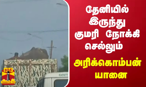 தேனியில் இருந்து குமரி நோக்கி செல்லும் அரிக்கொம்பன் யானை
