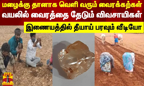 மழைக்கு தானாக வெளி வரும் வைரக்கற்கள்..வயலில் அமர்ந்து வைரத்தை தேடும் விவசாயிகள்-தீயாய் பரவும் வீடியோ