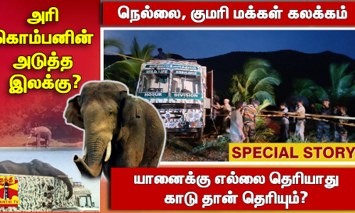 அரி கொம்பனின் அடுத்த இலக்கு? -நெல்லை, குமரி மக்கள் கலக்கம்  -யானைக்கு எல்லை தெரியாது   காடு தான் தெரியும்?