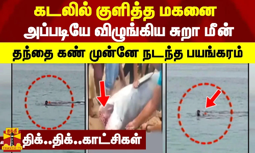 கடலில் குளித்த மகனை அப்படியே விழுங்கிய சுறா...தந்தை கண் முன்னே நடந்த பயங்கரம் -திக்..திக்..காட்சிகள்