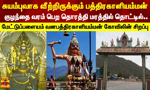 சுயம்புவாக வீற்றிருக்கும் பத்திரகாளியம்மன்..குழந்தை வரம் பெற தொரத்தி மரத்தில் தொட்டில் | Temple