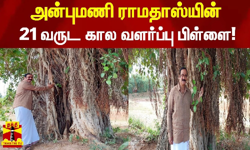 நான் வைத்த செடி தற்பொழுது மரமானது - Anbumani