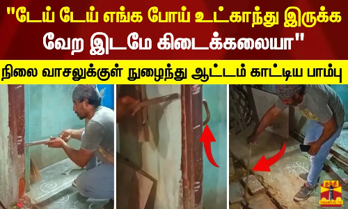 டேய் டேய் எங்க போய் உட்காந்து இருக்க வேற இடமே கிடைக்கலையா.. நிலை வாசலுக்குள் நுழைந்து ஆட்டம் காட்டிய பாம்பு