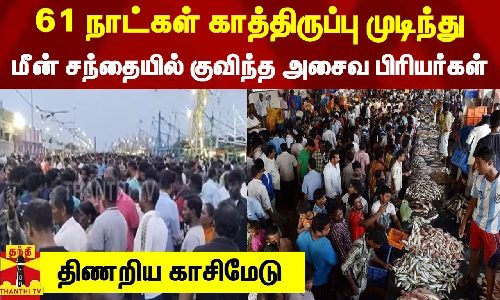 61 நாட்கள் காத்திருப்பு முடிந்து மீன் சந்தையில் குவிந்த அசைவ பிரியர்கள் - திணறிய காசிமேடு