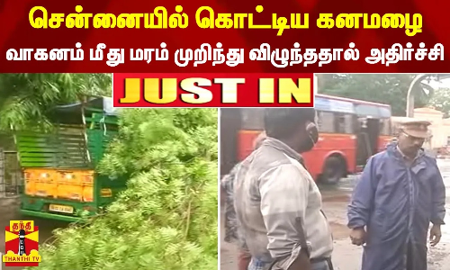 சென்னையில் கொட்டிய கனமழை... - வாகனம் மீது மரம் முறிந்து விழுந்ததால் அதிர்ச்சி