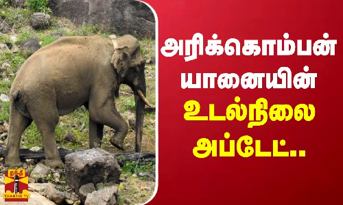 அரிக்கொம்பன் யானையின் உடல்நிலை அப்டேட்..