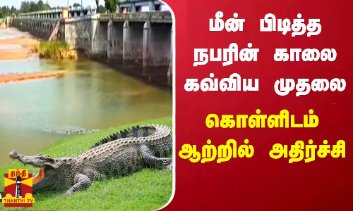 மீன் பிடித்த நபரின் காலை கவ்விய முதலை - கொள்ளிடம் ஆற்றில் அதிர்ச்சி | Kollidam river | Crocodile