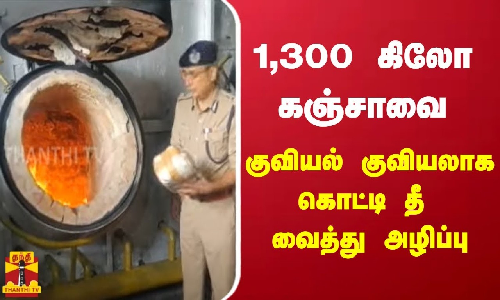 1,300 கிலோ கஞ்சாவை குவியல் குவியலாக கொட்டி தீ வைத்து அழிப்பு