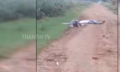 மனைவியை துப்பாக்கியால் சுட்டுக் கொன்ற கணவர்... தன்னையும் சுட்டு தற்கொலை செய்துகொண்ட அதிர்ச்சி சம்பவம் - உடல்களை  கைப்பற்றி போலீசார் தீவிர விசாரணை