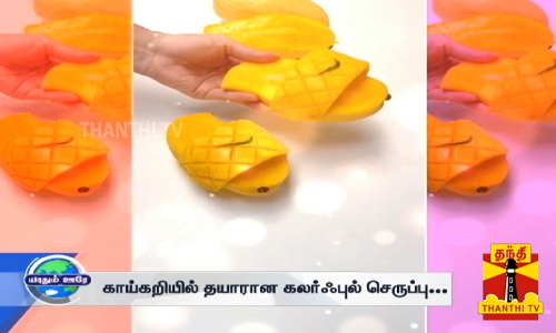 காய்கறியில் தயாரான கலர்ஃபுல் செருப்பு... டிவிட்டர்ல வைரல்