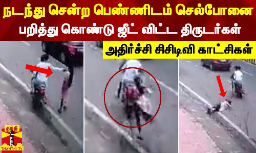 நடந்து சென்ற பெண்ணிடம் செல்போனை பறித்து கொண்டு ஜீட் விட்ட திருடர்கள்