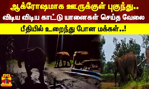 ஆக்ரோஷமாக ஊருக்குள் புகுந்து விடிய விடிய காட்டு யானைகள் செய்த வேலை. பீதியில் உறைந்து போன மக்கள்..!