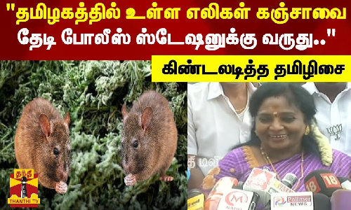 தமிழகத்தில் உள்ள எலிகள் கஞ்சாவை தேடி போலீஸ் ஸ்டேஷனுக்கு வருது-கிண்டலடித்த தெலங்கானா ஆளுநர் தமிழிசை