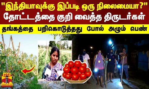 இந்தியாவுக்கு இப்படி ஒரு நிலைமையா?.. தோட்டத்தை குறி வைத்த திருடர்கள் - தங்கத்தை பறிகொடுத்தது போல் அழும் பெண்
