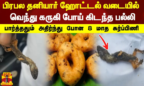 ஃபகத் பாசில் சாருக்கு ஜோடினா யாரு வேணான்னு சொல்லுவாங்க... சந்தோசத்தில் பொங்கிய ரவீனா