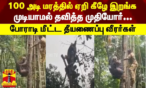 100 அடி மரத்தில் ஏறி கீழே இறங்க முடியாமல் தவித்த முதியோர்...  போராடி மீட்ட தீயணைப்பு வீரர்கள்