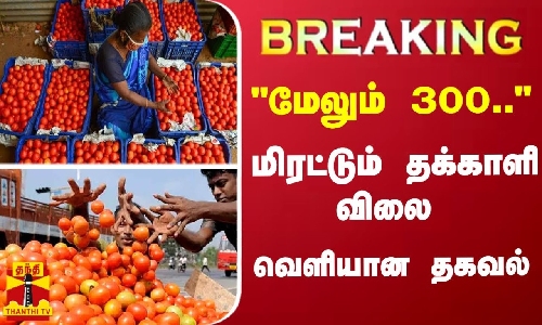 #Breaking : மேலும் 300.. - மிரட்டும் தக்காளி விலை - வெளியான தகவல்