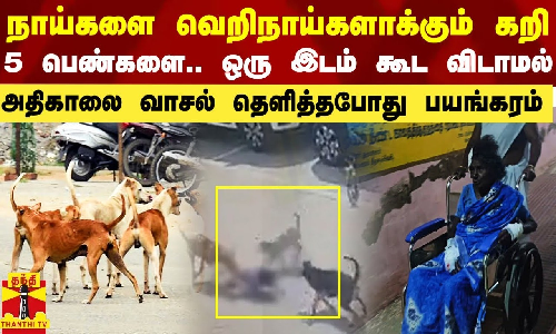 நாய்களை வெறிநாய்களாக்கும் கறிக்கடை.. வாசல் தெளித்த 5 பெண்களுக்கு நேர்ந்த கதி.. ஒரு இடம் கூட விடாமல் கடித்த கொடூரம்