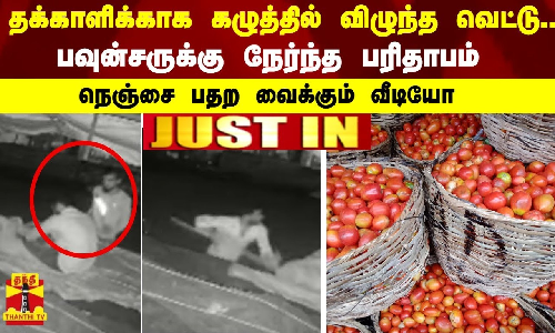 தக்காளிக்காக கழுத்தில் விழுந்த வெட்டு.. பவுன்சருக்கு நேர்ந்த பரிதாபம் - நெஞ்சை பதற வைக்கும் வீடியோ