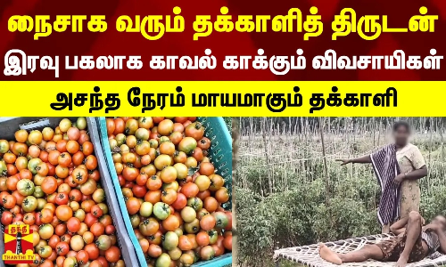 இரவு பகலாக காவல் காக்கும் விவசாயிகள்.. அசந்த நேரம் மாயமாகும் தக்காளி.. Pochampalli |Tomato |Thief