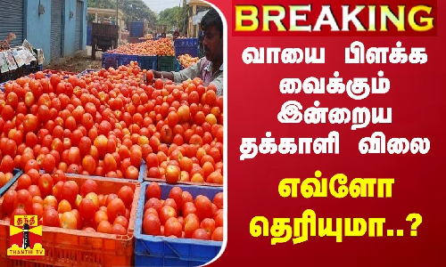 #BREAKING || வாயை பிளக்க வைக்கும் இன்றைய தக்காளி விலை - எவ்ளோ தெரியுமா..?