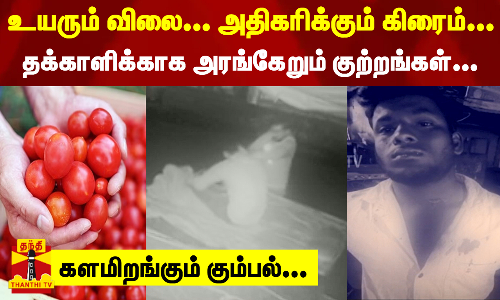 அதிக விலைக்கு விற்கப்படும் தக்காளி...  திருட்டு, கொலை என களமிறங்கும் கும்பல்...