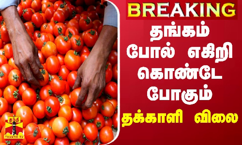 #BREAKING || தங்கம் போல் எகிறி கொண்டே போகும் தக்காளி விலை