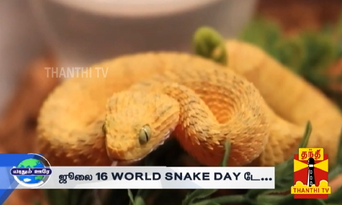 ஸ்னேக் டே கொண்டாடுவது எப்படி? ஸ்னேக் டே உருவான வரலாறு...
