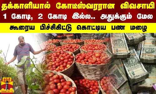 தக்காளியால் கோடீஸ்வரரான விவசாயி..1 கோடி, 2 கோடி இல்ல.. அதுக்கும் மேல - கூரைய பிச்சிகிட்டு கொட்டிய பண மழை