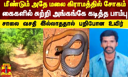 மீண்டும் அதே மலை கிராமத்தில் சோகம்..கைகளில் சுற்றி அங்கங்கே கடித்த பாம்பு.. சாலை வசதி இல்லாததால் பறிபோன உயிர்