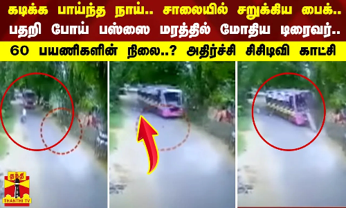 #JUSTIN | கடிக்க பாய்ந்த நாய்.. சாலையில் சறுக்கிய பைக்..  பதறி போய் பஸ்ஸை மரத்தில் மோதிய டிரைவர்..