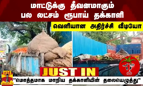 மாட்டுக்கு தீவனமாகும் பல லட்சம் ரூபாய் தக்காளி.. வெளியான அதிர்ச்சி வீடியோ... மொத்தமாக மாறிய தக்காளியின் தலையெழுத்து