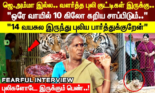 ஜெ.அம்மா இல்ல.. வளர்த்த புலி குட்டிகள் இருக்கு.. செல்லமாய் கூப்பிட்டதும் ஓடி வந்த புலி..!