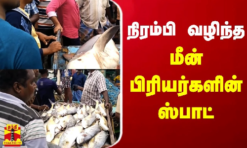 நிரம்பி வழிந்த மீன் பிரியர்களின் ஸ்பாட்