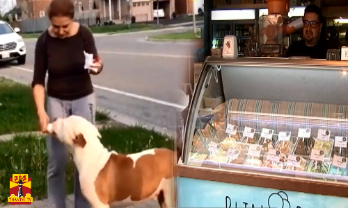 ஃப்ளேவர் ஃப்ளேவர்ரா... டிசைன் டிசைன்னா... ஐஸ்கிரிம் சாப்புட்ரிங்க..!