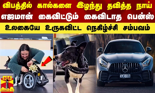 விபத்தில் கால்களை இழந்த நாய்.. எஜமான் கைவிட்டும் கைவிடாத Benz நிறுவனம் - உலகையே உருகவிட்ட சம்பவம்