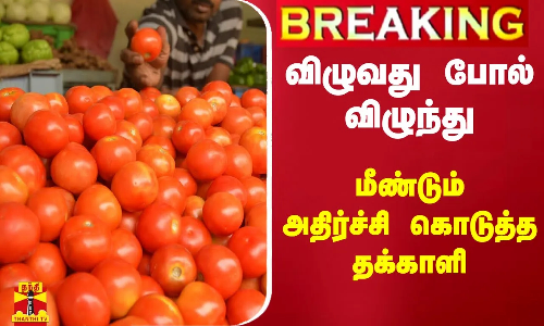 #BREAKING || விழுவது போல் விழுந்து மீண்டும் அதிர்ச்சி கொடுத்த தக்காளி | Tomato price today